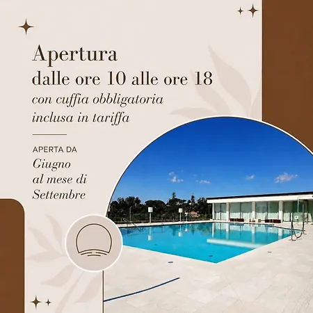 4 4* Cannizzaro